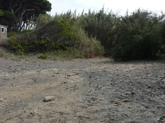 I fossi e lo stagno di Baratti (Piombino - LI)